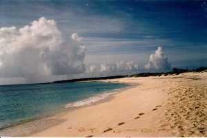 [Click to enlarge beach on Scrub Island]