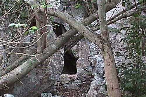 Click for wider view of Cavanaugh Cave entrance