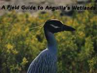 [Click to read about Wetlands book]